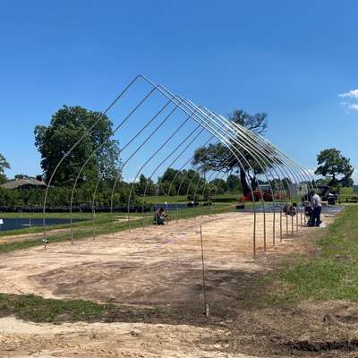 setting hoop house hoops