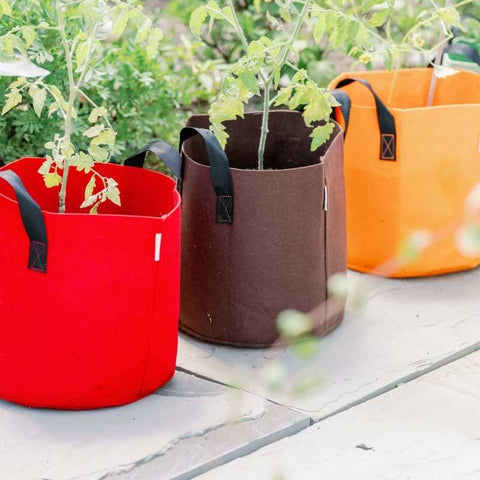 ecofynd Non Woven Fabric Pots Grow Bags freeshipping  Ecofynd