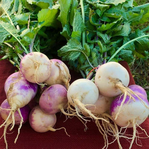 turnips