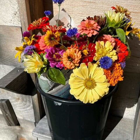 A bucket of flowers sitting on an old wooden bench. Flowers include zinnias, bachelor's buttons and gerber daisies.
