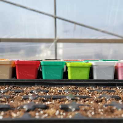 seed starting pots