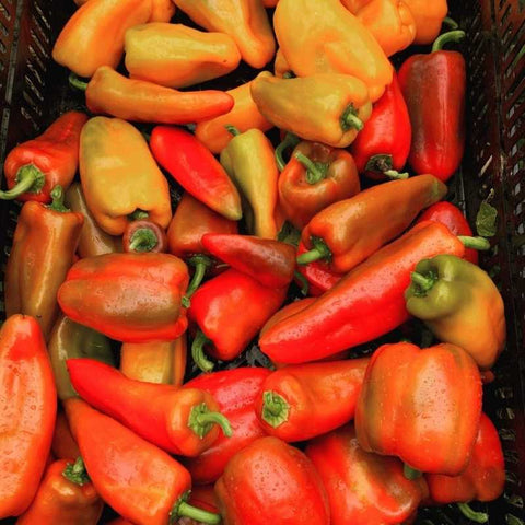 peppers