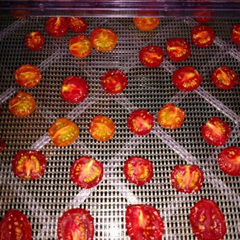 drying tomatoes