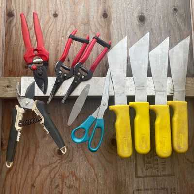 A row of garden tools on a magnetic strip including harvest knives and pruners.