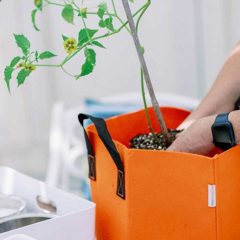 Grow Bags vs Plastic Pots: Which is Better for Your Plants?