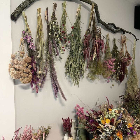 hanging dried flowers