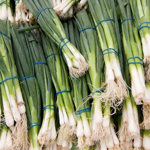 green onion