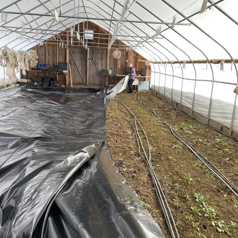 silage tarp in greenhouse