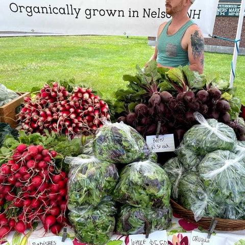 The farmers market table of a market gardener showing bunches of red radishes, beets and bags of baby greens. A person is partially visible in the background as well as a sign that reads "Organically Grown in Nelson, NH."