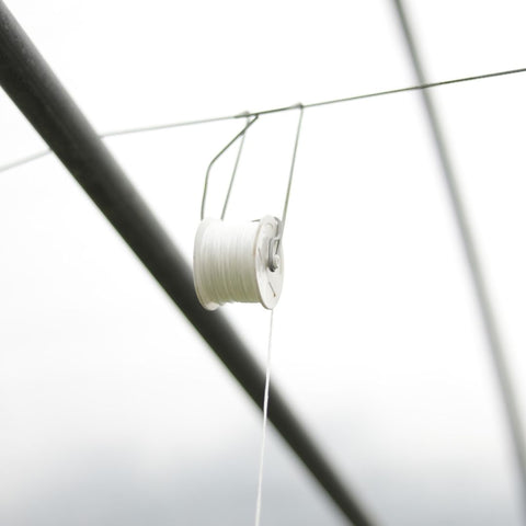 A roller hook hanging from a trellis line for tomato production in a hoop house