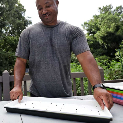 microgreen trays