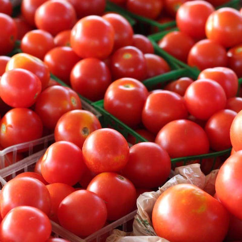 tomatoes in containers