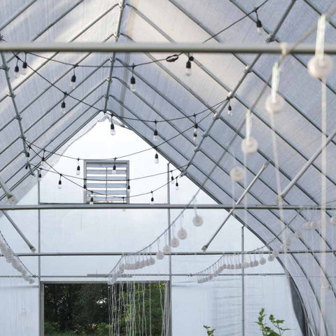 View from inside a gothic hoop house. Trellis wires are hung about 7 feet off the ground and strung with roller hooks for tomato plants.