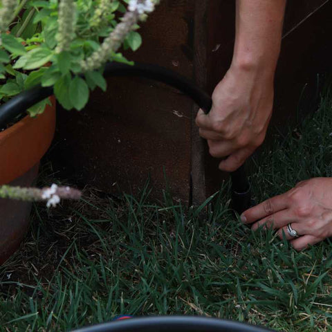 Installing Drip Irrigation