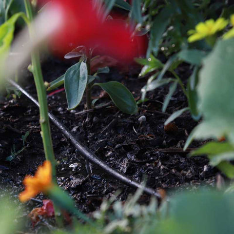 Container Garden Irrigation