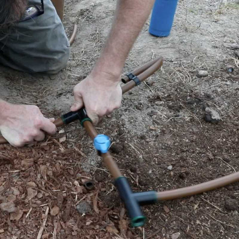 drip irrigation