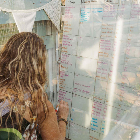 Woman farmer planning garden crops for the season, kneeling in front of a white board chart in a hoop house. The chart shows crop name, planting dates, amount seeded etc.