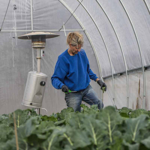 Farmer in a blue sweatshirt working inside a high tunnel with a stand up propane heater behind her.