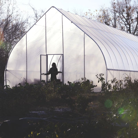 A gothic style hoop house at dusk. The outline of crops and a person standing inside are visible against a sunset sky.