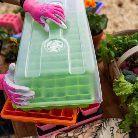 Hands with gardening gloves placing a humidity dome over green 6-cells in a 1020 deep tray.