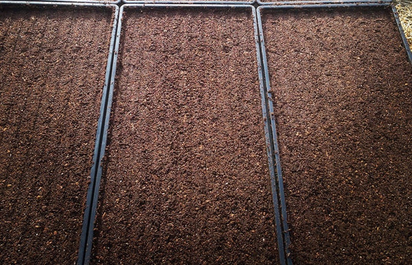 coconut coir and peat mix