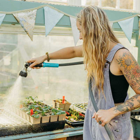 Jill Ragan Whispering Willow Watering seedlings