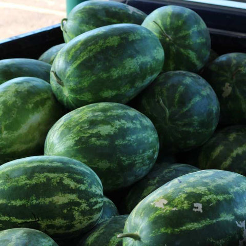 Melons in a container
