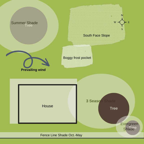 Green background map of a small property showing a house, three trees and their shade patterns. Compass rose and slope patterns shown along with pervading wind patterns and frost pockets.