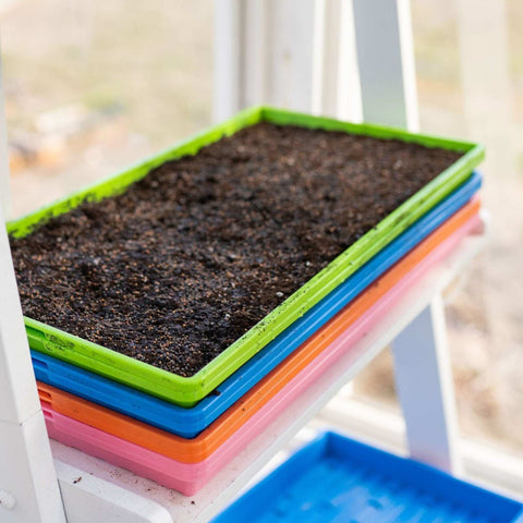 Stack of multicolor planted microgreen shallow trays on a white shelf in a greenhouse setting