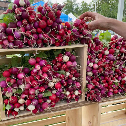 Stacked wooden crates of multi color radishes at a market farmers booth.