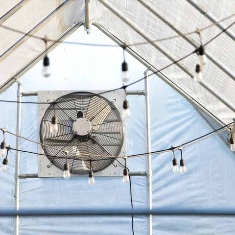 View of a greenhouse exhaust fan above the door inside a gothic greenhouse.
