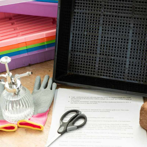 Supplies for Mushroom Growing activity including a scissors, waterer, trays, gloves and coco coir