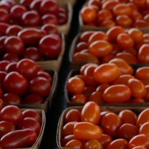 tomatoes in pint containers