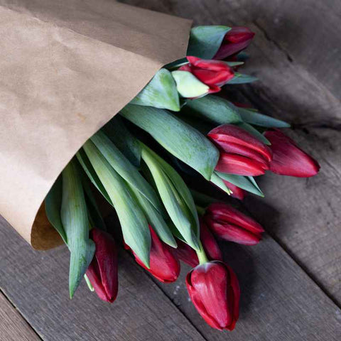 tulip red bouquet