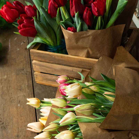 harvested tulip bouquets