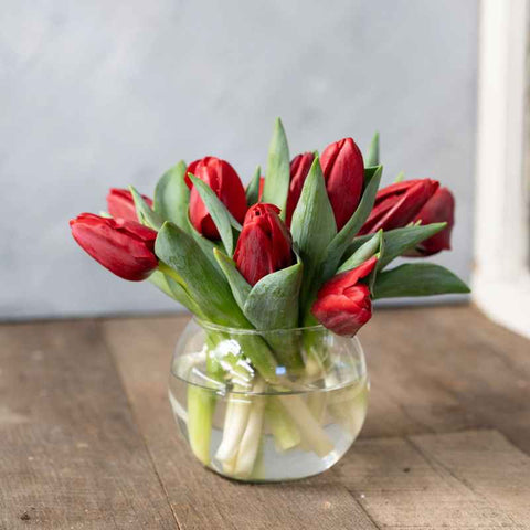 tulips in a vase