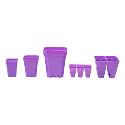 Size Comparison Image of 2.5" Seed Pot, 3.3" Pot, 5" Pot, 6 cell and 4 cell inserts