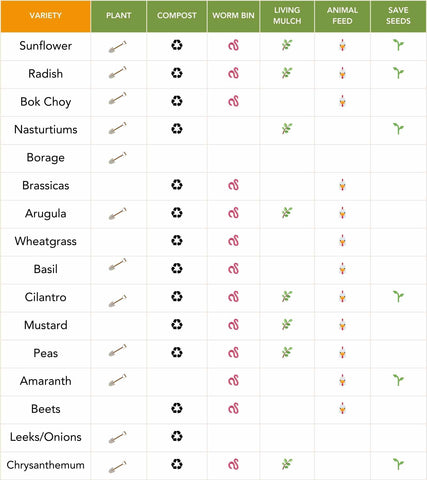 chart showing ways to use spent trays of microgreens including planting trays, composting, vermicomposting, and saving seed.