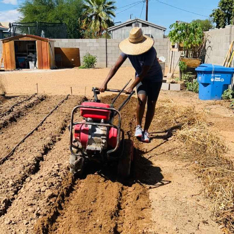 Woman tilling up rows with bcs tractor