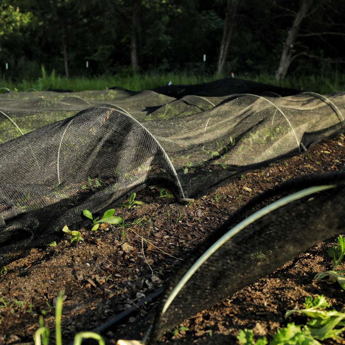 30% Black Shade Cloth - High Quality, Easy to Install