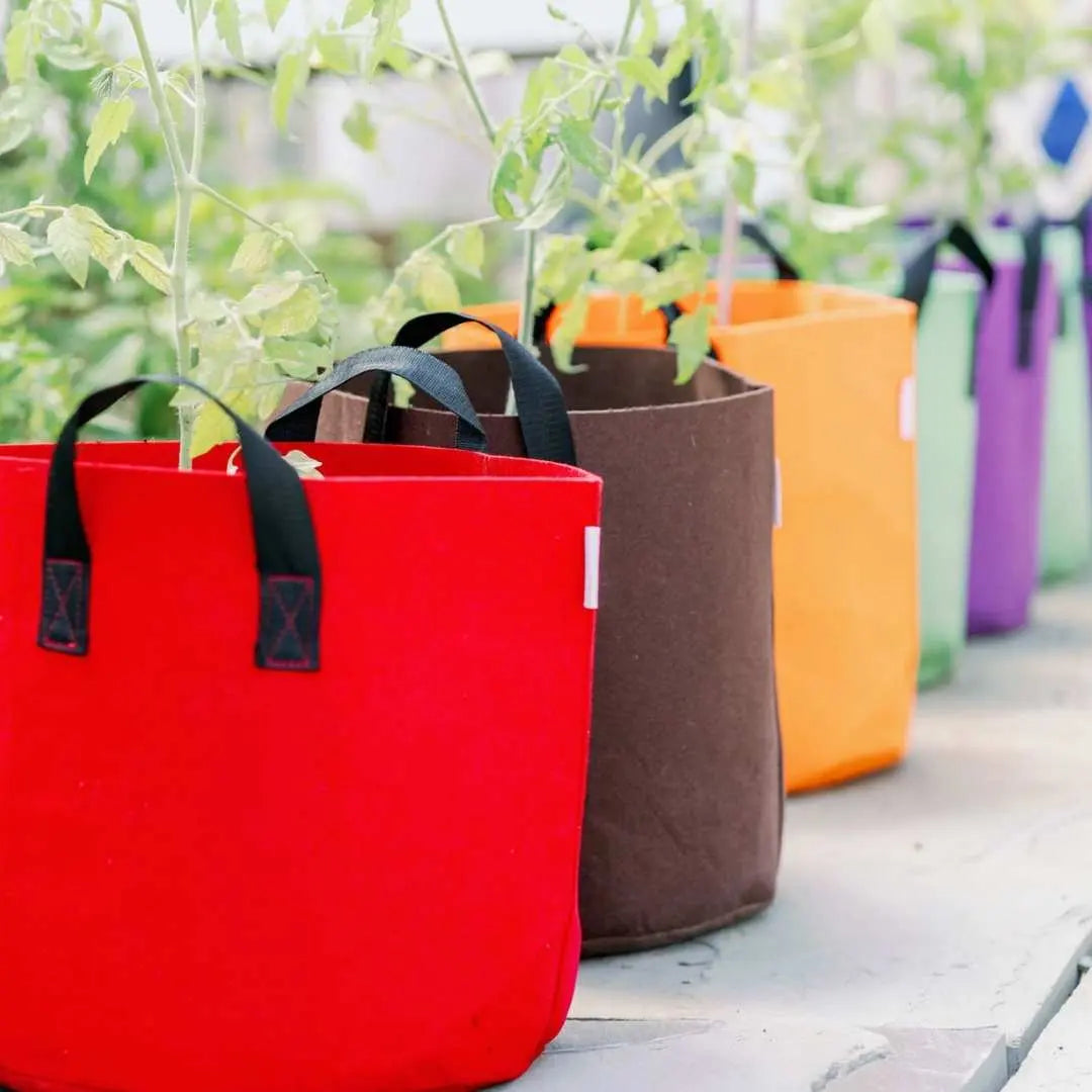 In Color Order: DIY Fabric Grow Bags