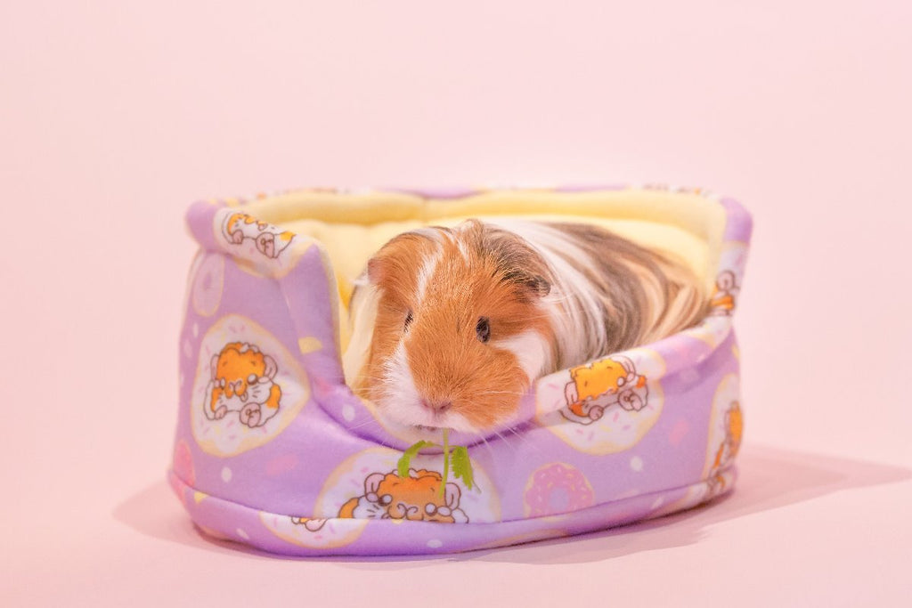 guinea pig bed