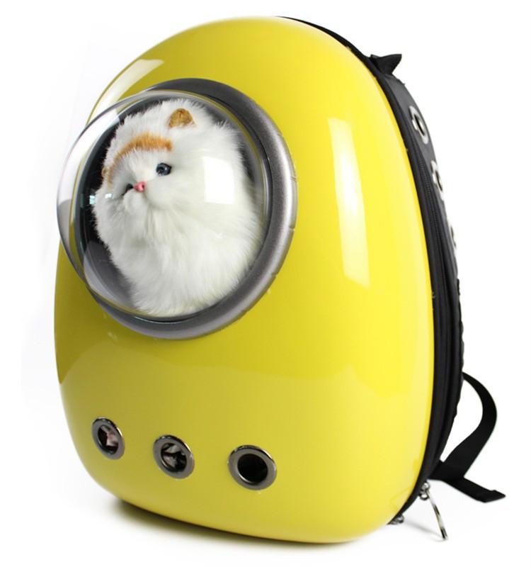 bubble pet carrier