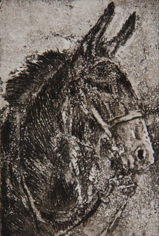 "Blossom" Intaglion print of Mule