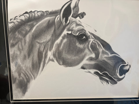 Chaocoal drawing of a horse