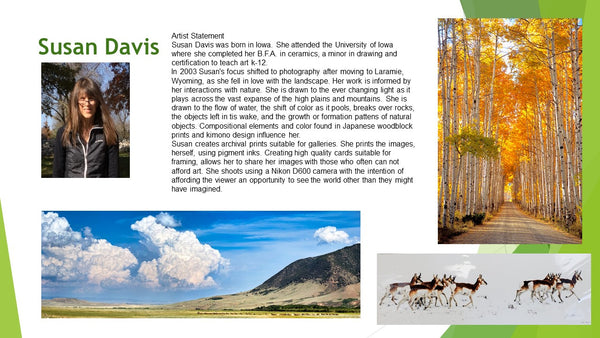 Susan Davis Photographer, Wyoming Wildlife, landscapes, mountains and skies