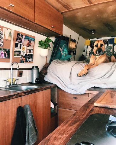 Sawyer inside Sprinter Van