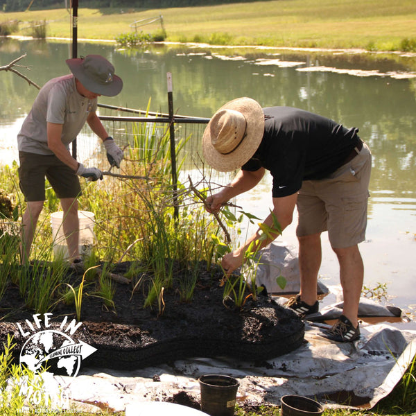 Guardians of the Ozarks: A Journey from an Outdoor Enthusiast to Watershed Advocate with Marra Holt of the Watershed Committee of the Ozarks