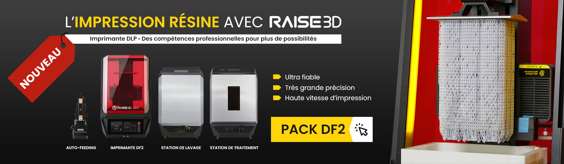 RAISE3D Pro3 (Plus) - La PERFORMANCE d'une imprimante 3D double