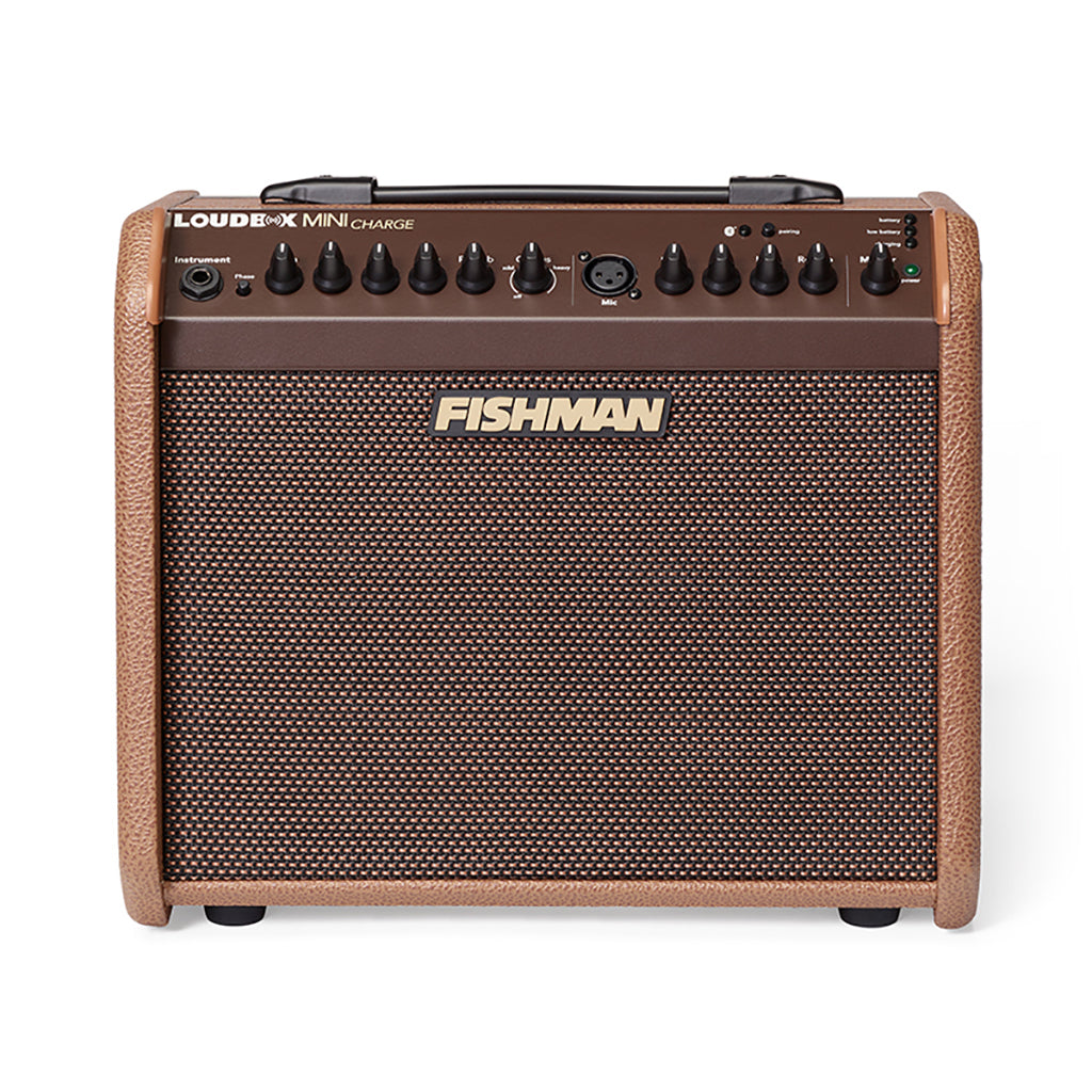 fishman loudex mini